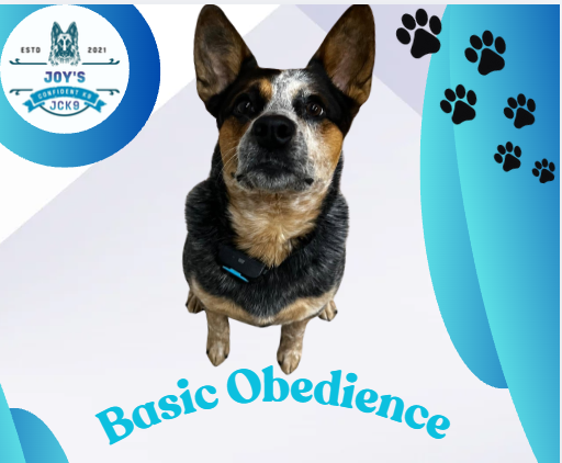 basic obedience commands