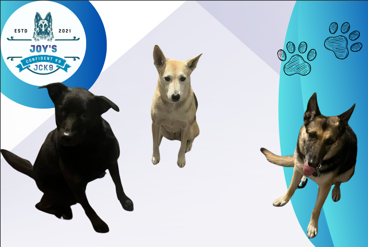 basic obedience commands